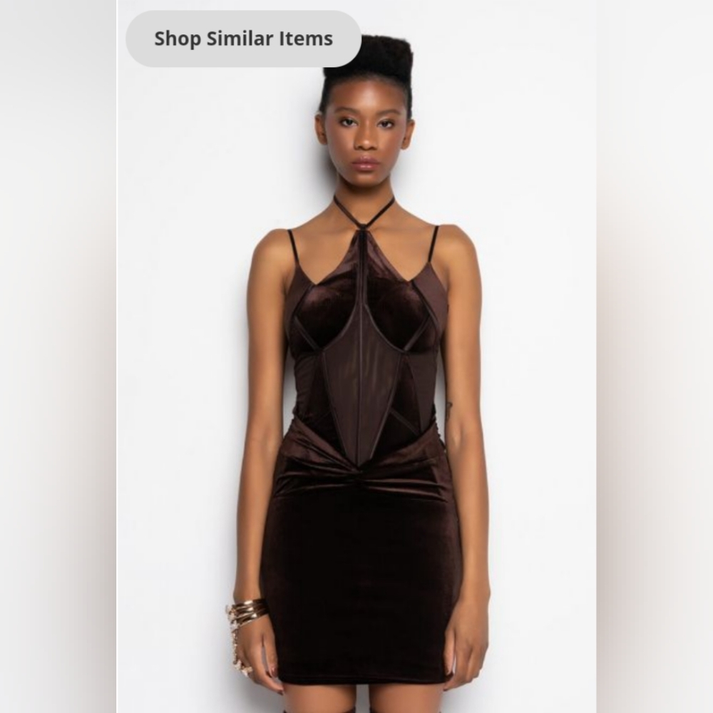 LOVE IT WHEN YOU TALK TO ME VELVET MINI DRESS (Akira )